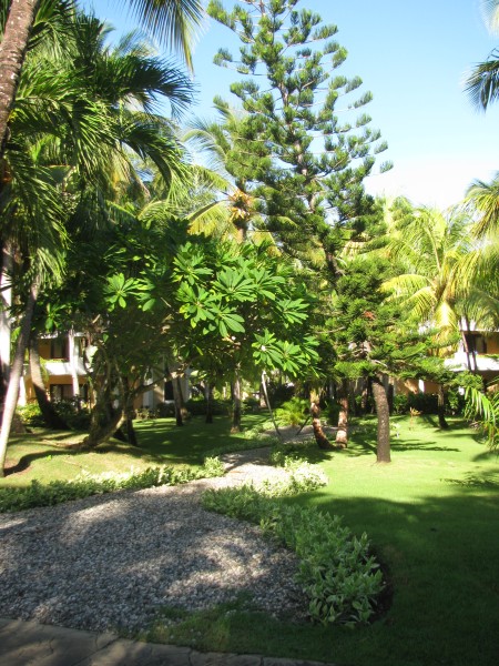 Dominican Republic 276.jpg